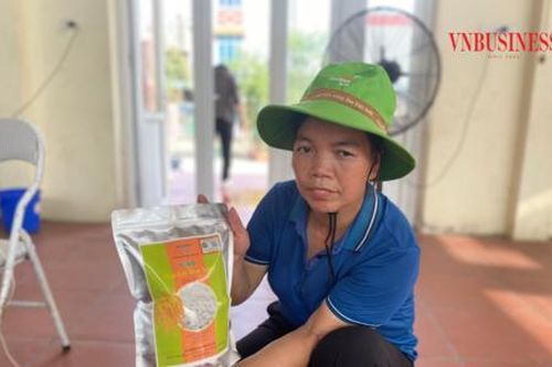 Bảo tồn giống lúa nếp truyền thống, một HTX ở đất quan họ có thu nhập hơn 8 tỷ/năm