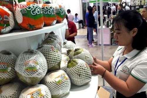 Mở lối cho ngành dừa Việt tiến xa trên 'đường đua' tỷ đô