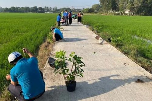 Huyện Bình Chánh: Đoàn kết giữ cho môi trường thêm sạch đẹp