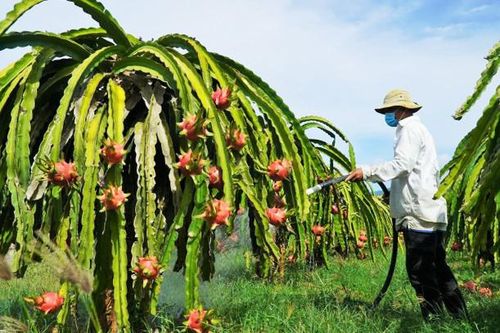 Tin tức đặc biệt trên báo in Hànôịmới ngày 19-8-2024
