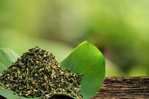 Chữa mất ngủ bằng các loại cây cỏ quanh nhà