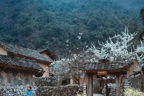 Khi du lịch 'bắt tay' điện ảnh