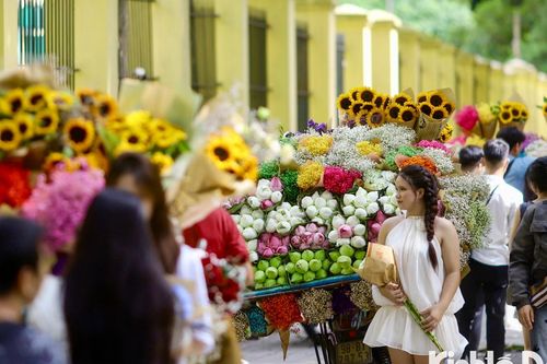 Hà Nội: Giới trẻ đổ xô đi check-in tại 'phố Thu' Phan Đình Phùng