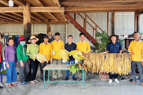Giải pháp dựa vào thiên nhiên: tạo ra lợi ích cho cuộc sống, hệ sinh thái