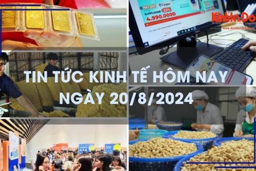 Tin tức kinh tế ngày 20/8: giá cao su đạt mức cao nhất trong 2 năm qua