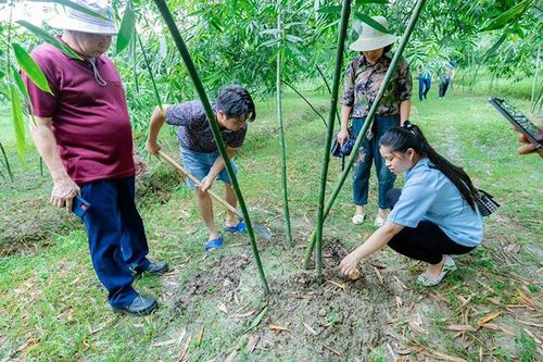 Sản xuất nông nghiệp gắn với du lịch sinh thái
