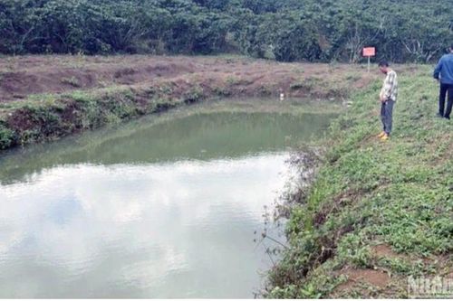 Thêm vụ trẻ em đuối nước ở hồ tưới cà-phê tại Lâm Đồng