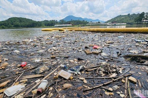 Rác thải bủa vây hồ cấp nước nhà máy xử lý nước sinh hoạt cho Đà Lạt
