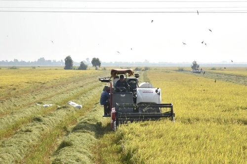 Nâng cao năng lực cho nông dân trong sản xuất nông nghiệp