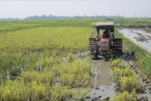 Tiếng loa truyền thanh thắp sáng hành trình thoát nghèo ở Thái Bình