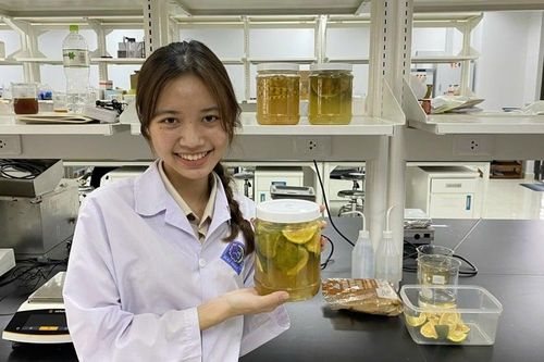Sinh viên xuất sắc có cơ hội nhận 100 suất học bổng trị giá 1,5 tỷ đồng