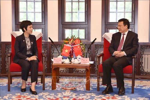 TTXVN và Tân Hoa xã tăng cường hợp tác trong kỷ nguyên số