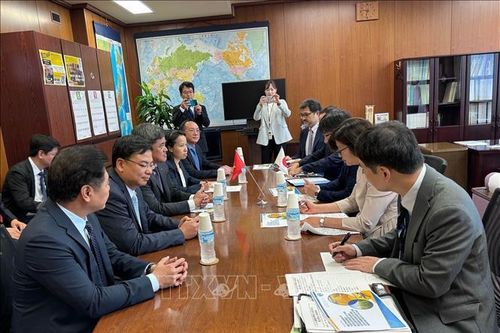 Hợp tác nông nghiệp Việt Nam - Nhật Bản hướng tới bền vững và ứng dụng công nghệ số