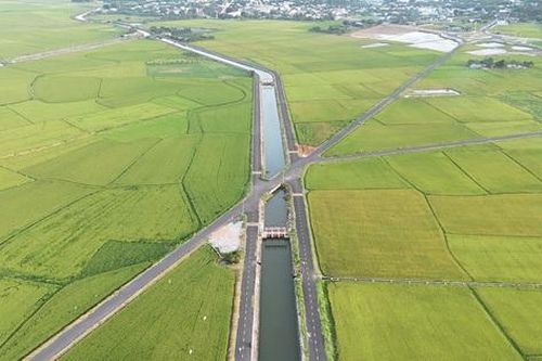 Ngắm những con đường nhựa băng qua cánh đồng lúa đẹp 'mê hồn'