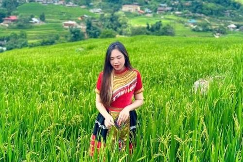 Vẻ đẹp siêu thực của Sa Pa mùa lúa xanh