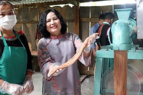 Kon Tum: Ra mắt Tổ hợp tác sản xuất và tiêu thụ sản phẩm gạo lứt đỏ