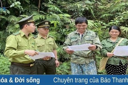 Tăng cường bảo vệ rừng, ngăn khai thác lâm sản trái phép ở Khu BTTN Pù Hu