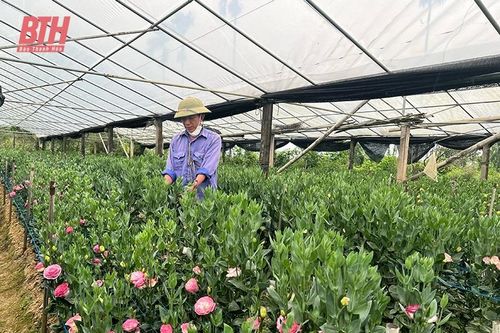 Phát triển mô hình nông nghiệp tuần hoàn không rác thải