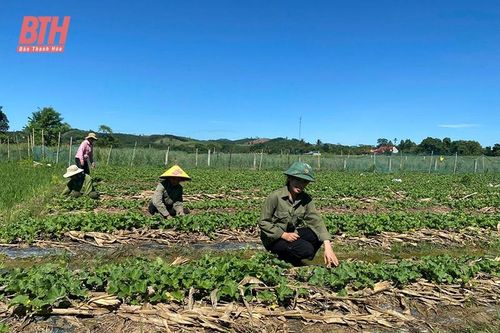 Thúc đẩy sản xuất nông nghiệp an toàn