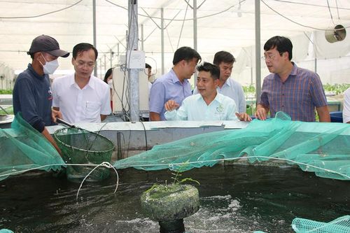 Đẩy mạnh phát triển mô hình kinh tế tuần hoàn trong sản xuất nông nghiệp