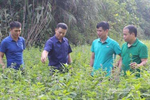 Thực hiện Nghị quyết số 77 ở Lộc Bình: Sâu sát cơ sở, xây dựng mô hình cụ thể