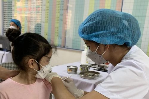 Lào Cai tăng cường phòng, chống viêm não vi-rut và viêm não Nhật Bản