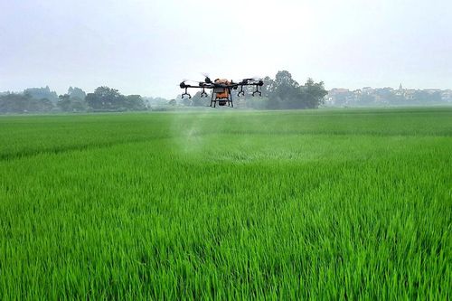 Hướng tới nền nông nghiệp xanh, bền vững
