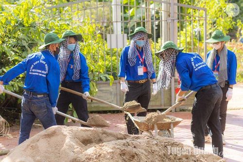 Dấu ấn mùa hè xanh