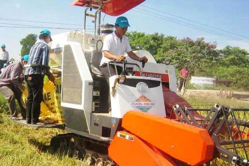 Niềm vui kép từ vụ lúa hè thu