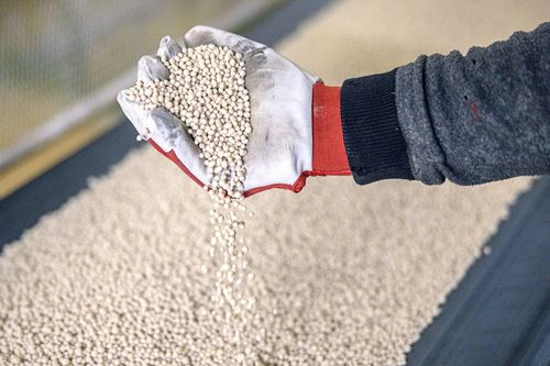 Dự báo giá ure tăng trở lại trong năm sau, lựa chọn cổ phiếu Đạm Cà Mau (DCM) hay Đạm Phú Mỹ (DPM)?