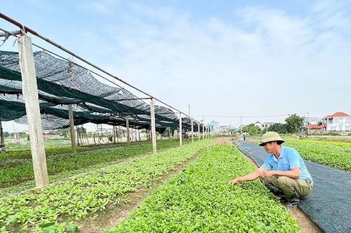 Nam Định: Phát triển kinh tế xanh, bền vững dựa trên nền tảng khoa học công nghệ