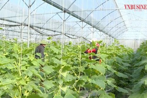 Ở Hải Dương đang hình thành một thế hệ 'nông dân 4.0', thông minh và giàu có