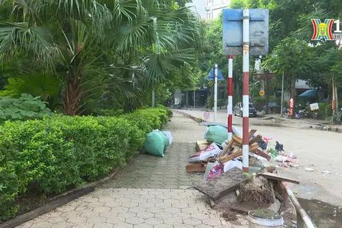 Nhếch nhác vườn hoa Trần Quang Diệu