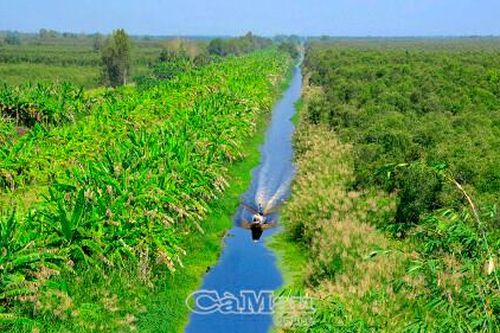Phát huy tiềm năng kinh tế rừng