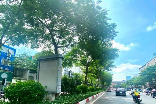 Tin tức đặc biệt trên báo in Hànôịmới ngày 20-8-2024