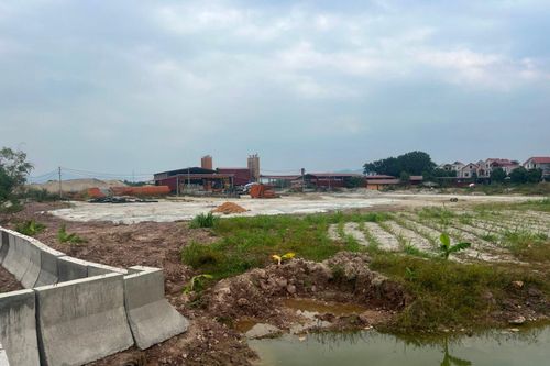 Công ty CP Bến Thủy bị phạt 260 triệu đồng vì hủy hoại đất
