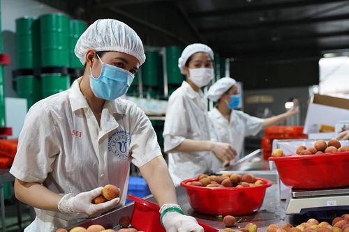 Nông sản Việt mở rộng thị phần trong nước