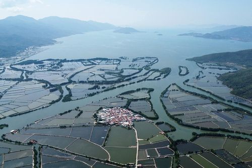 Cận cảnh ngôi làng hơn 370 năm 'chơi vơi' giữa đầm Nha Phu
