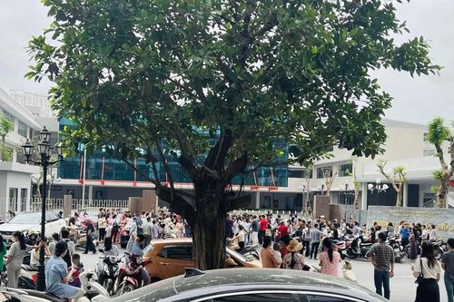 Sở GD&ĐT Hà Nội chỉ đạo nóng vụ hàng trăm phụ huynh 'vây' trường tiểu học
