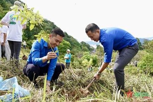 18.000 cây xanh được trồng để 'Góp lá vá rừng-vì một Việt Nam xanh và phát triển bền vững'