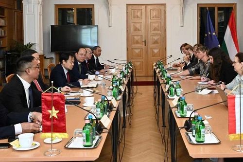 TPHCM và Hungary phối hợp tổ chức nhiều hoạt động trong giáo dục, văn hóa