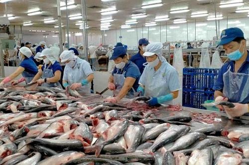 Nam Việt (ANV) lợi nhuận đi lùi, lãnh đạo bán ra hàng trăm nghìn cổ phiếu