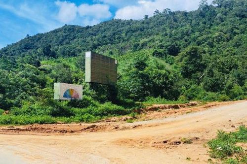 Kon Tum sẽ khai thác hơn 700 m3 gỗ để mở đường sang Gia Lai