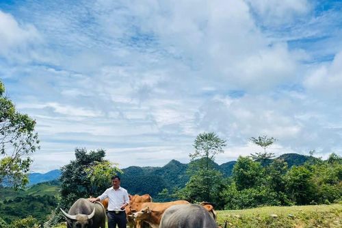 Người mở hướng làm giàu ở xã biên giới Nghệ An