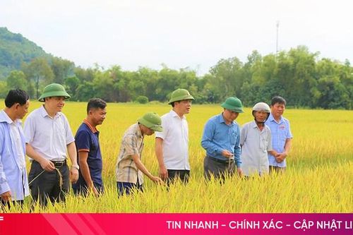 Giấc mơ có thật ở Đỉnh Bàn