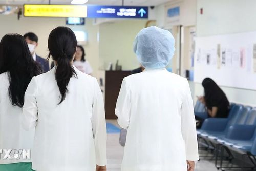 Cộng đồng y tế Hàn Quốc mâu thuẫn về luật điều dưỡng