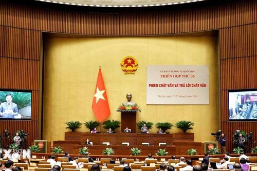 Tham mưu đưa cơ sở dữ liệu QG về khiếu nại, tố cáo vào một nhánh của Đề án 06