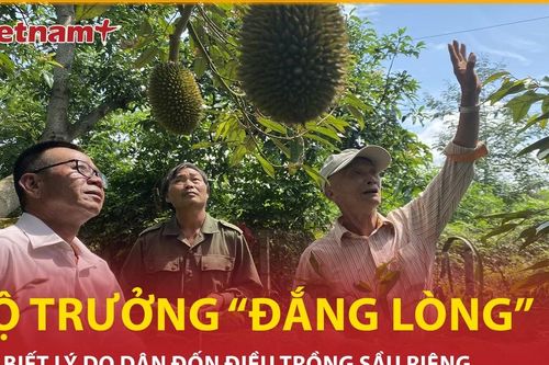 Bản tin 60s: Bộ trưởng 'đắng lòng' khi biết lý do dân đốn điều trồng sầu riêng