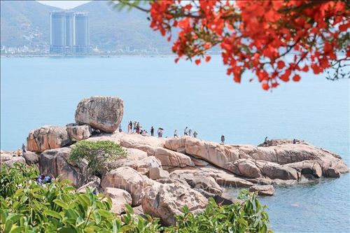 Giữ gìn và tôn tạo 'màu xanh' cho du lịch Nha Trang