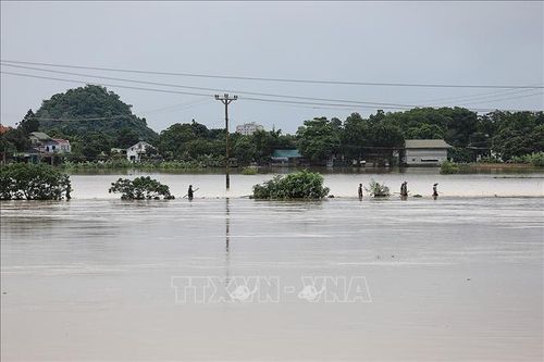 Mưa lớn gây nhiều thiệt hại tại Hòa Bình